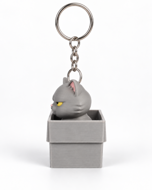 Кликър „British Shorthair Box“ – Британска късокосместа котка 🐱♻️